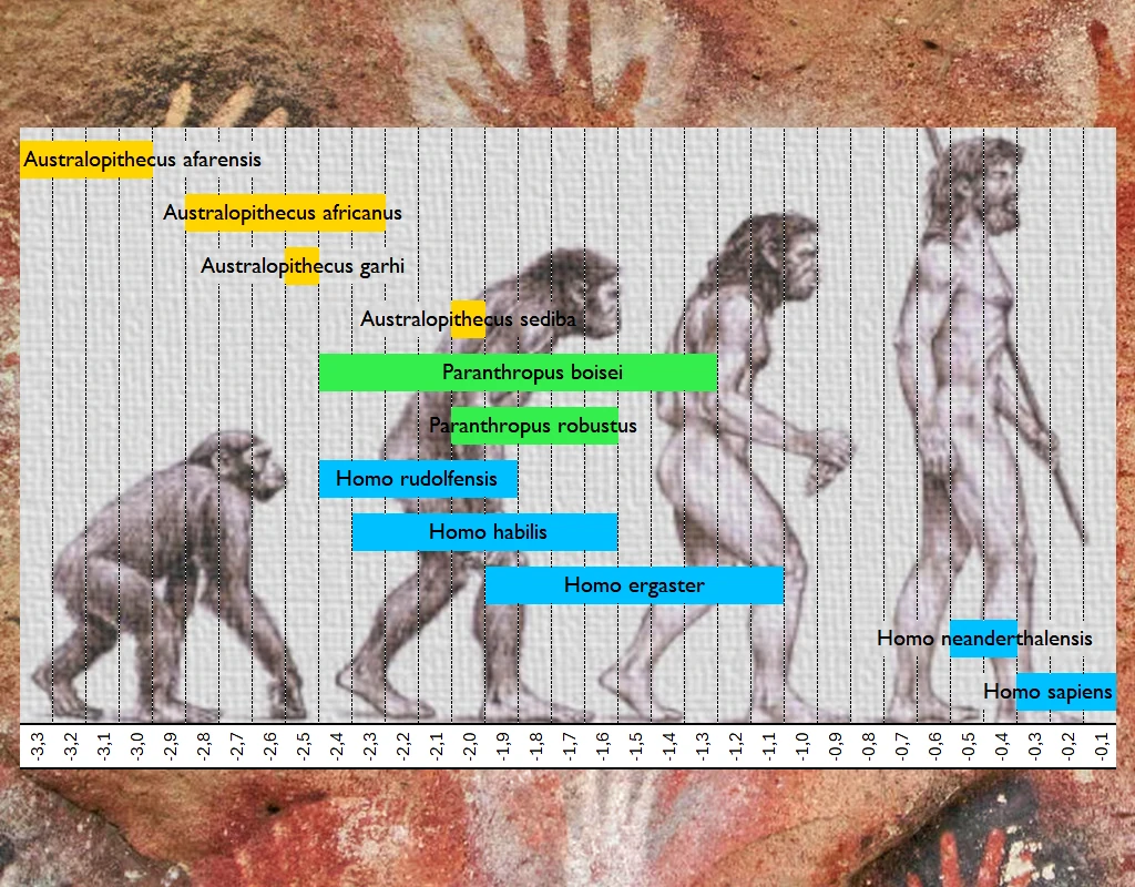 Les périodes archéologiques (classement)