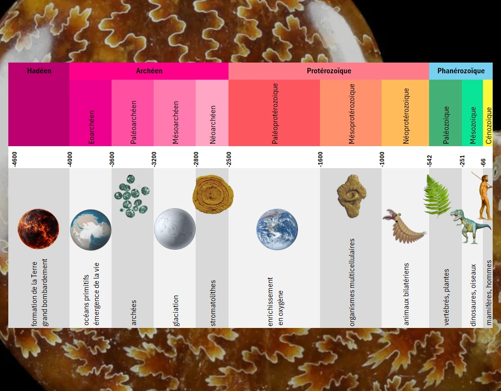 Les temps géologiques (classement)
