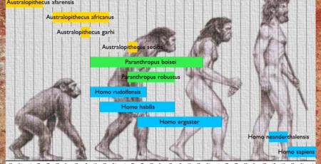 periodes archeologiques prehistoire